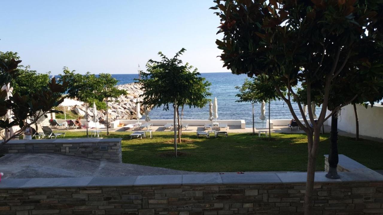 الشقق الفندقية نيا سكيونيفي  Pansion Alexandros By The Sea المظهر الخارجي الصورة
