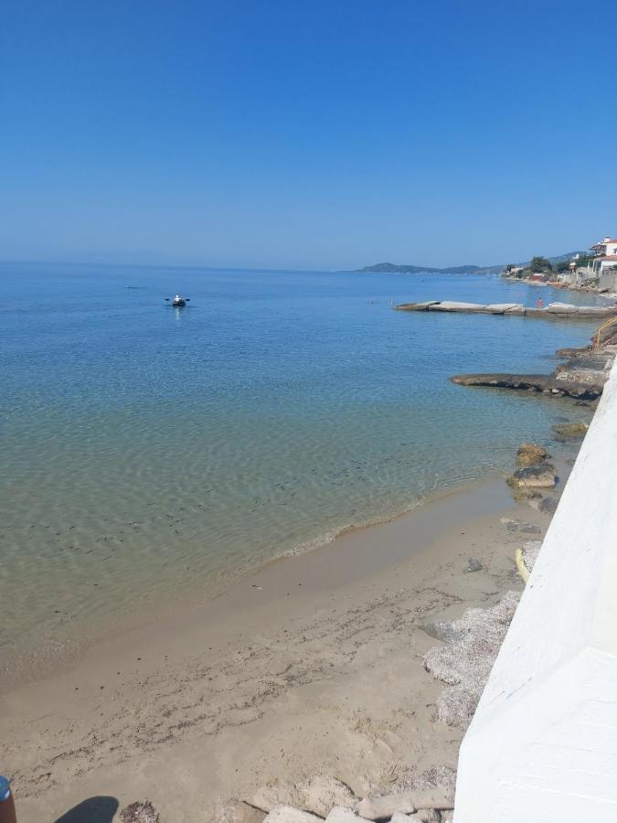 الشقق الفندقية نيا سكيونيفي  Pansion Alexandros By The Sea المظهر الخارجي الصورة