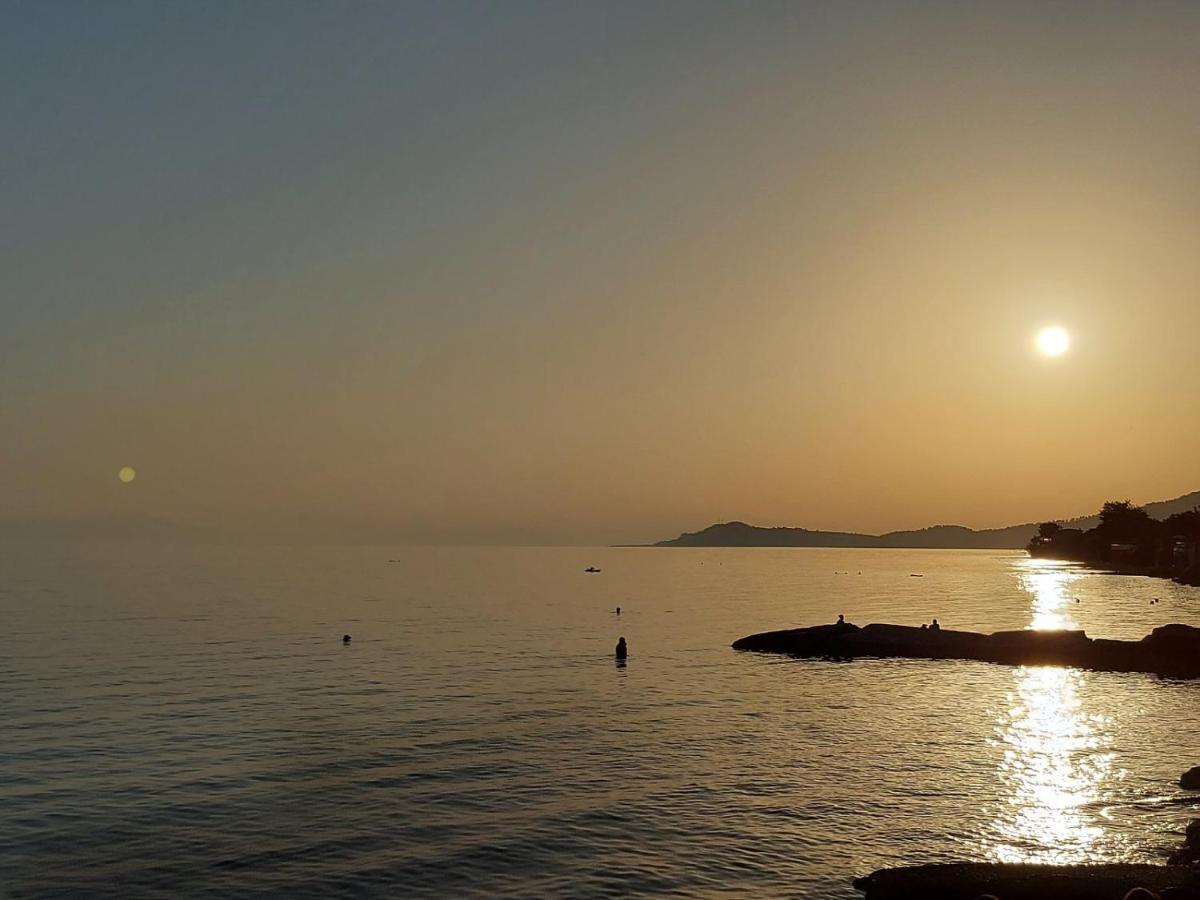 الشقق الفندقية نيا سكيونيفي  Pansion Alexandros By The Sea المظهر الخارجي الصورة