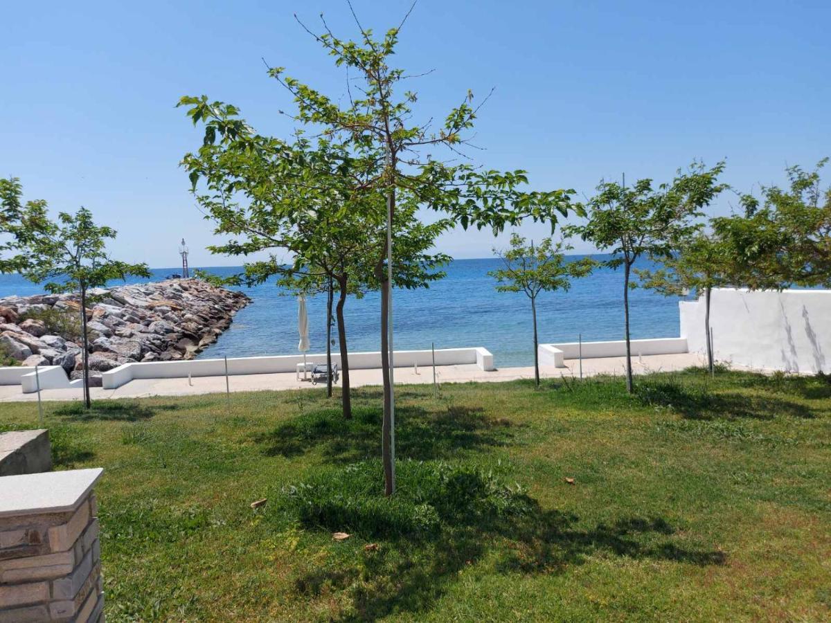 الشقق الفندقية نيا سكيونيفي  Pansion Alexandros By The Sea المظهر الخارجي الصورة