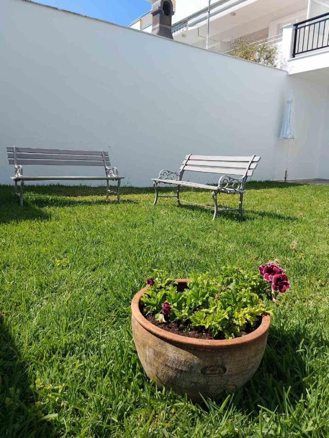 الشقق الفندقية نيا سكيونيفي  Pansion Alexandros By The Sea المظهر الخارجي الصورة